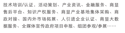 智慧显示展